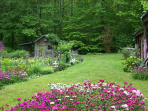 Garden of Eden Cabins